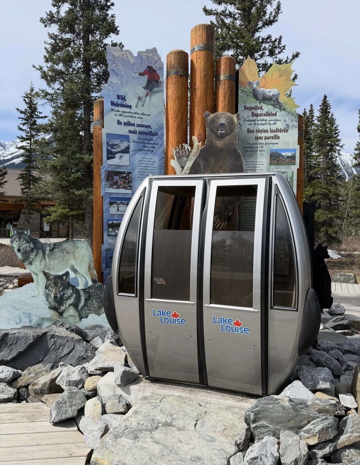 Lake Louise gondola cabin displayed on rocks beside bilingual wildlife panels