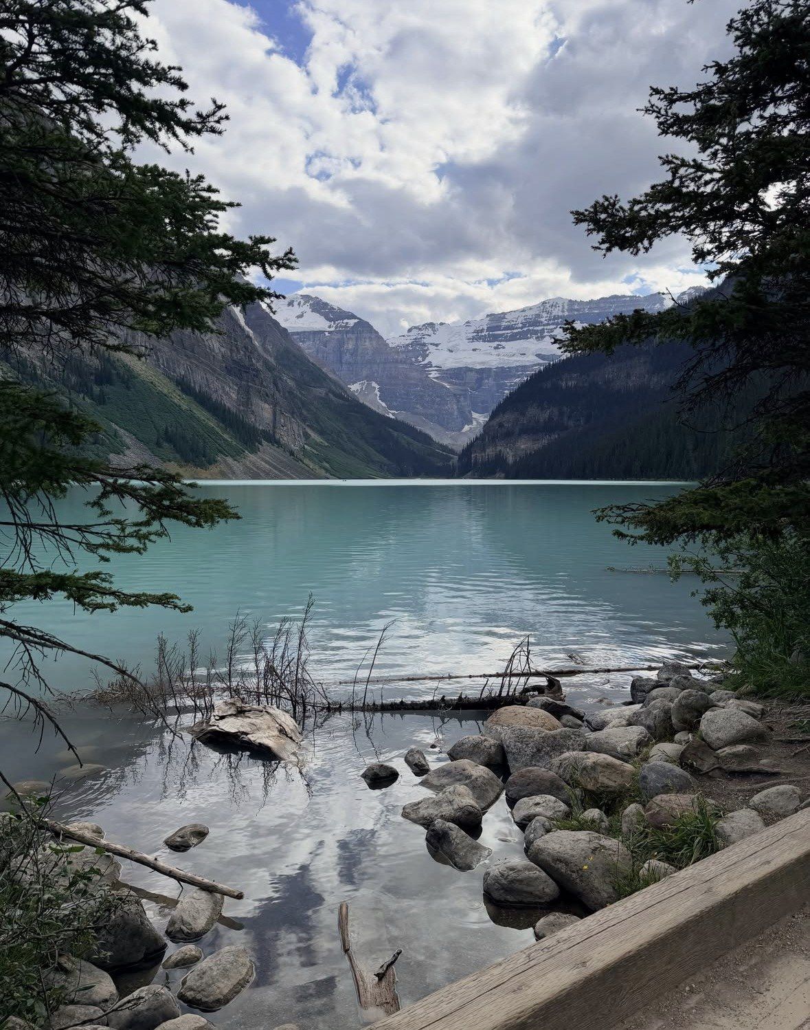 Lake Louise shoreline rocks and glacier view framed by spruce branches